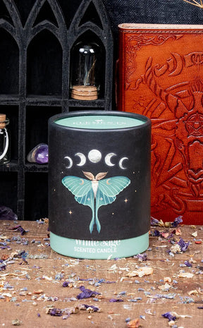 Luna Moth Candle | White Sage