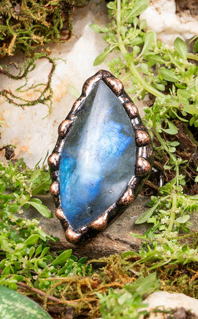 Metamorphosis Labradorite Ring