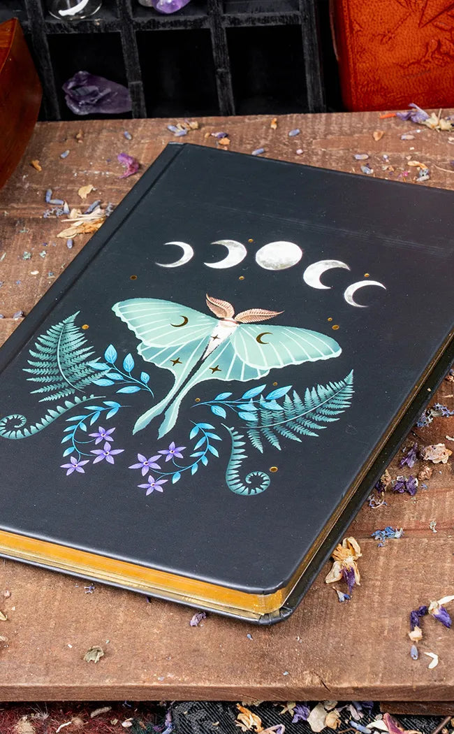 Midnight Moth Journal