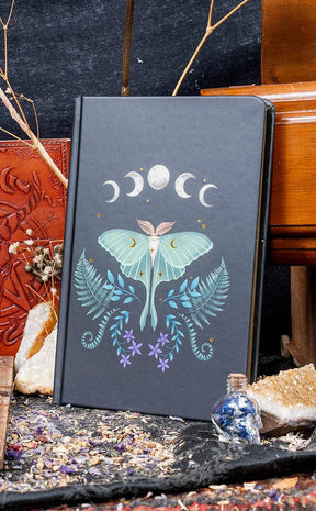 Midnight Moth Journal