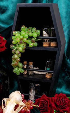 Mortuary Display Shelf-The Haunted Mansion-Tragic Beautiful