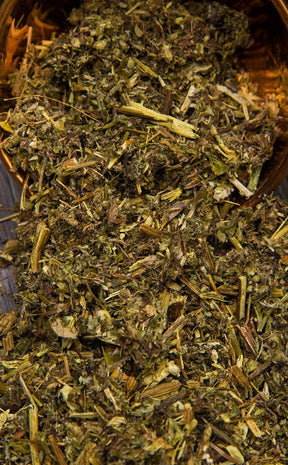 Mugwort | Herbal Alchemy-Aether-Tragic Beautiful