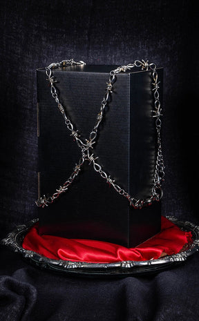 NFS Special Edition Subscription Box