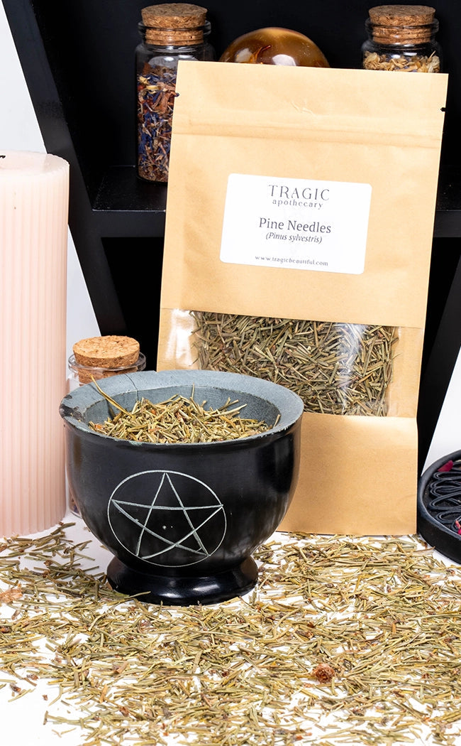 Pine Needles | Witchcraft Herbs-Witch Herbs-Tragic Beautiful