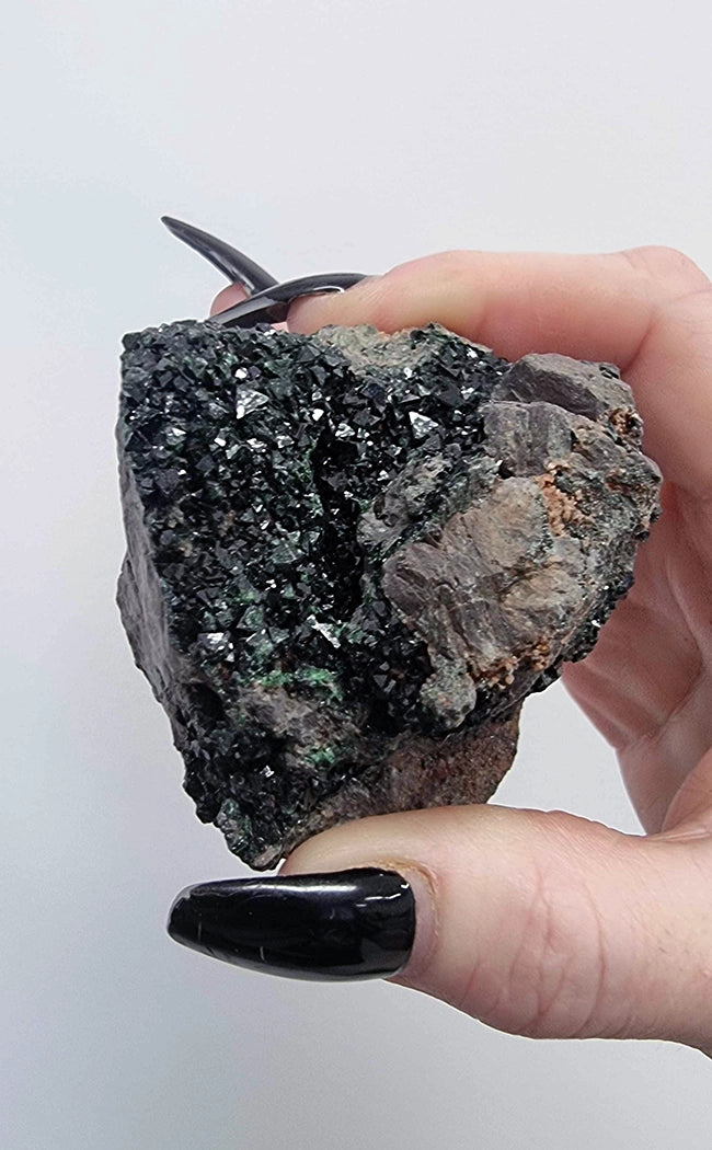 RARE Libethenite Clusters on Matrix | A Grade