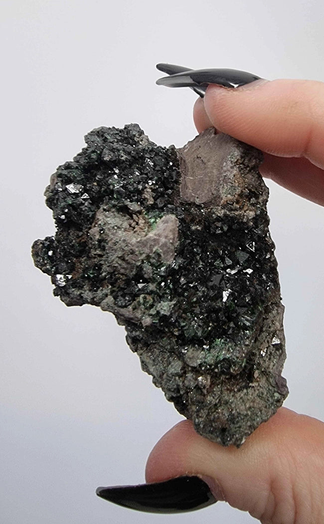 RARE Libethenite Clusters on Matrix | A Grade