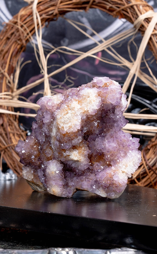 Rare XXL Lilac Ametrine Spirit Quartz Cluster-Crystals-Tragic Beautiful