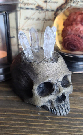 Realistic Skull Ring Holder-Curio Resins-Tragic Beautiful