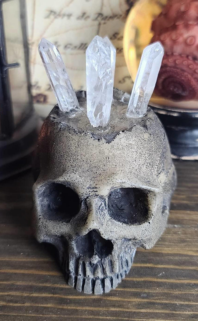 Realistic Skull Ring Holder-Curio Resins-Tragic Beautiful