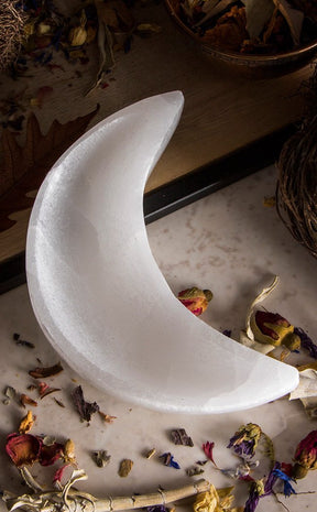 Selenite Crescent Charging Bowl-Crystals-Tragic Beautiful