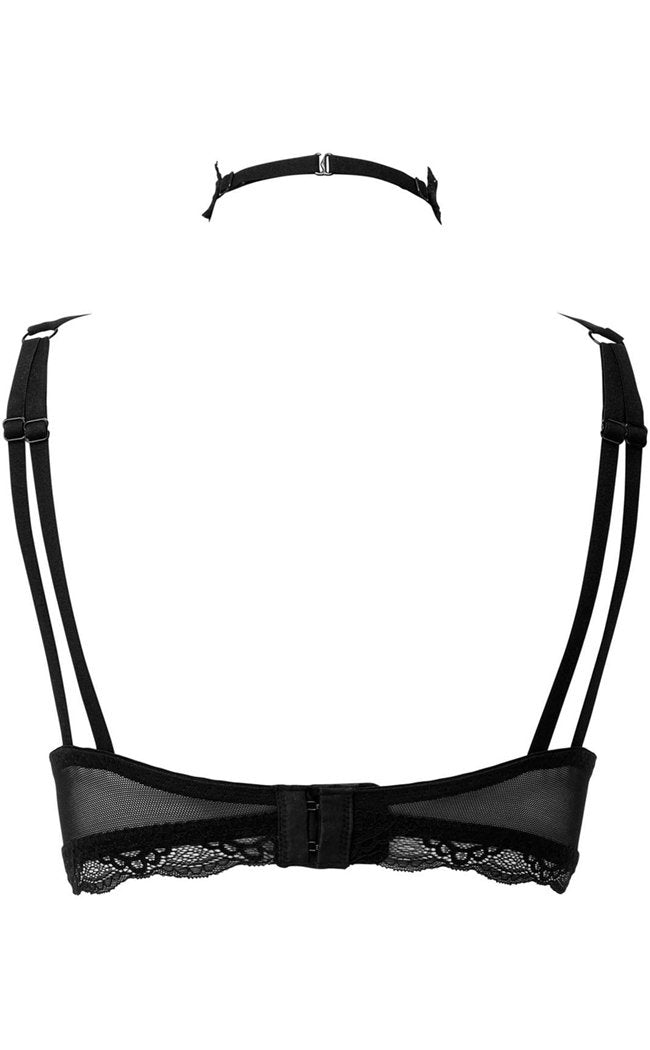 She Bites Lace Bra | Black-Killstar-Tragic Beautiful