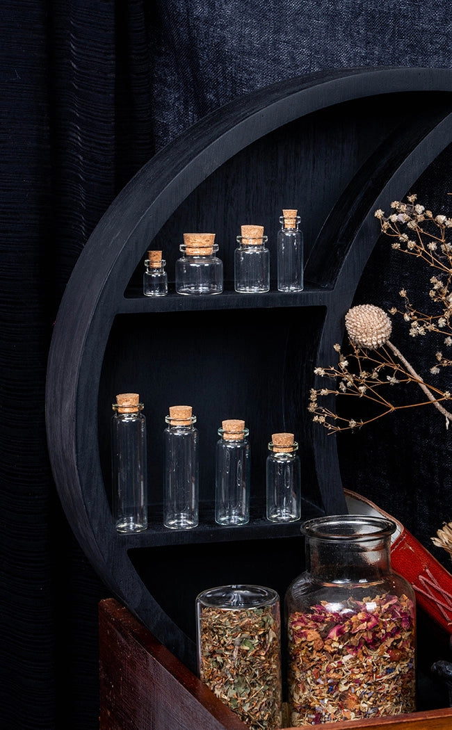 Small Glass Bottles with Corks | Set of 10