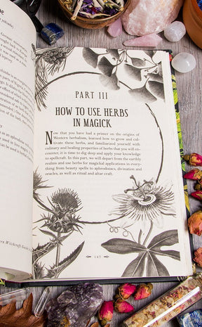 The Modern Witchcraft Guide To Magickal Herbs-Occult Books-Tragic Beautiful