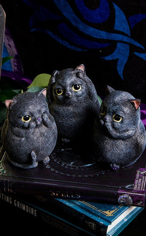 Three Wise Fat Cats-Nemesis Now-Tragic Beautiful