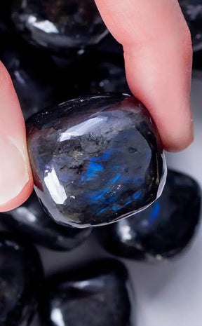 Tumbled Stones | Black Labradorite-Tumble Stones-Tragic Beautiful