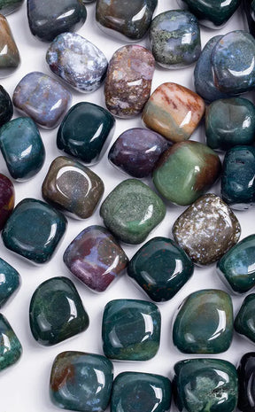 Tumbled Stones | Ocean Jasper Q1-Crystals-Tragic Beautiful