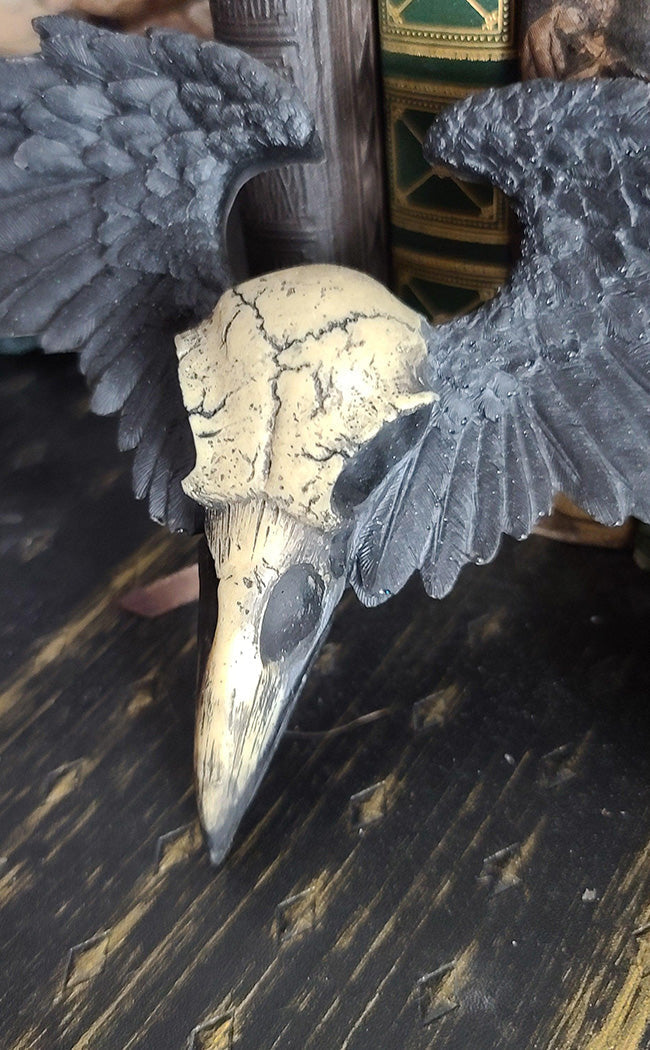 Valkyrie Raven Wall Decor-Curio Resins-Tragic Beautiful