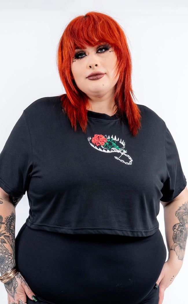 Violent Delights Crop Tee | Plus Size-Tragic Beautiful-Tragic Beautiful