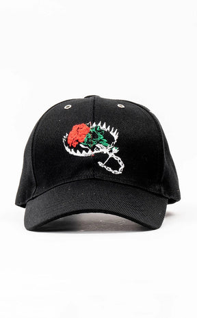 Violent Delights Embroidered Cap