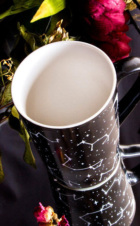 Voyager Mug-Rogue & Wolf-Tragic Beautiful