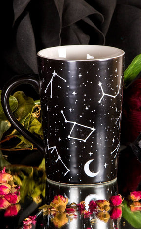 Voyager Mug-Rogue & Wolf-Tragic Beautiful