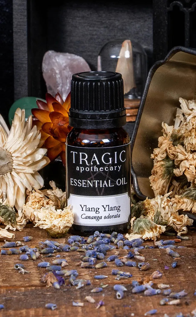 Ylang Ylang (No. 3) Essential Oil