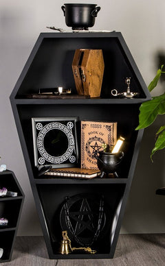 Coffin Bookcase Shelves Curiosity Cabinet Gothic Art