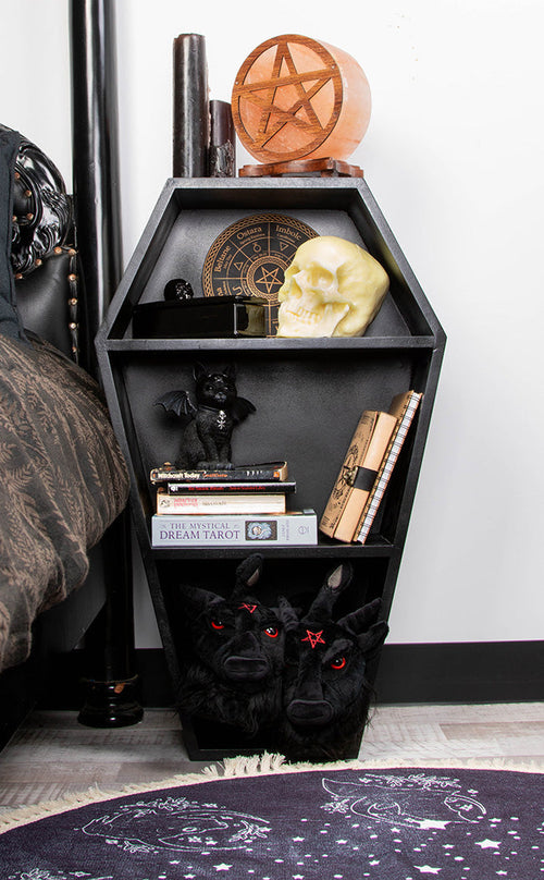 Coffin Bookcase Shelves Curiosity Cabinet Gothic Art