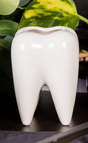 Pearly White Plant Pot-Tragic Beautiful-Tragic Beautiful