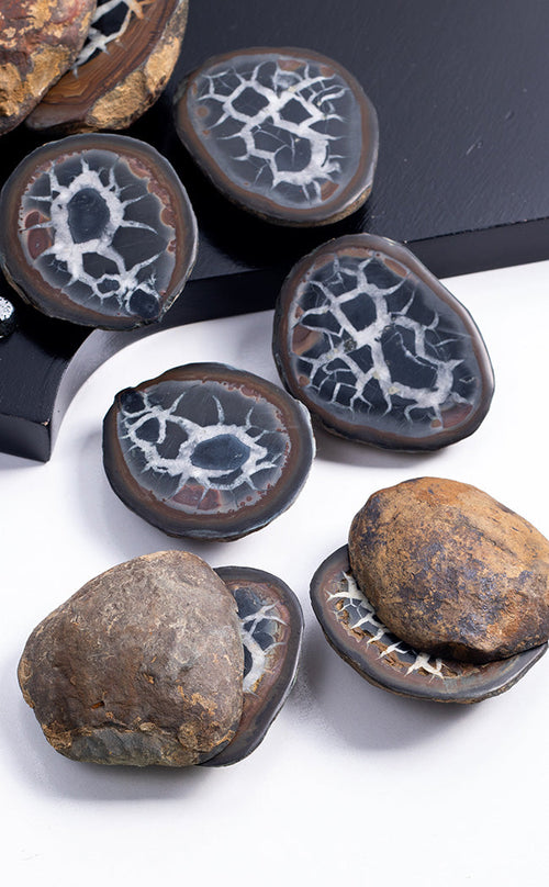 Septarian Nodule Geode 